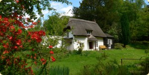 A New Forest Cottage.
