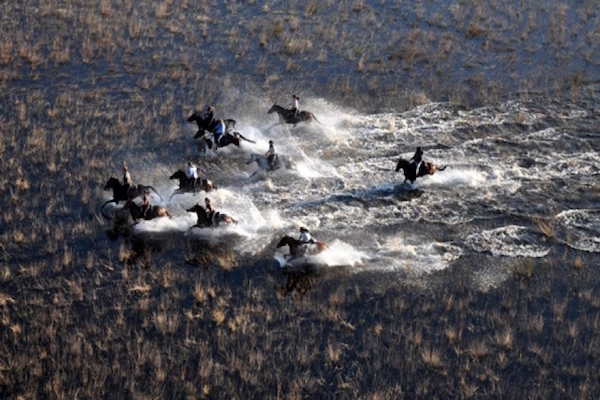 Race ya!  (Photo credit: African Horseback Safaris)